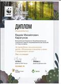 Диплом за проведение экологического урока "Изменение климата и связь с сохранением лесов".