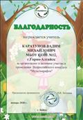 Благодарность за организацию Всероссийского конкурса "Мультмарафон".