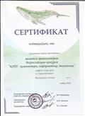 Сертификат за организацию Всероссийского конкурса "КИТ - компьютеры. информатика, технологии 2020".